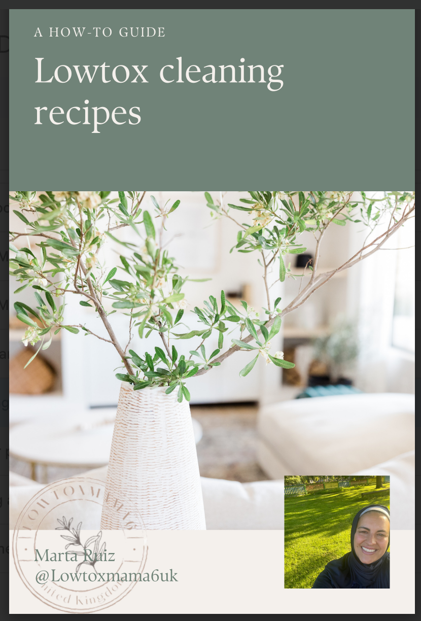 Lowtox cleaning recipes